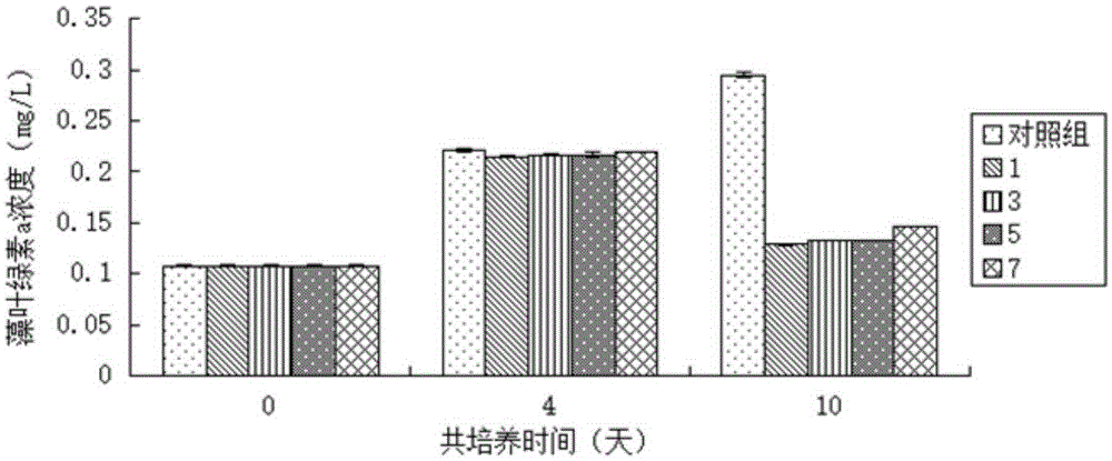 Skeletonema costatum lytic virus and its separation method and use