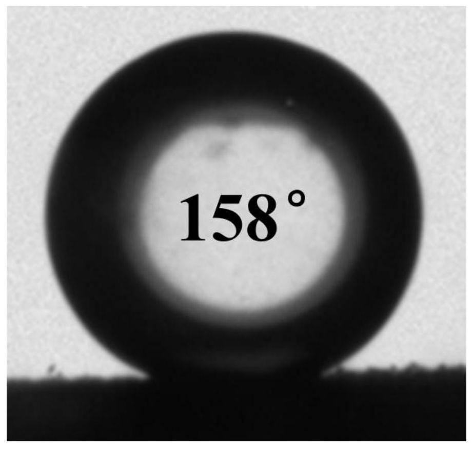 A kind of preparation method and application of cobalt oxide loaded omentum bifunctional material