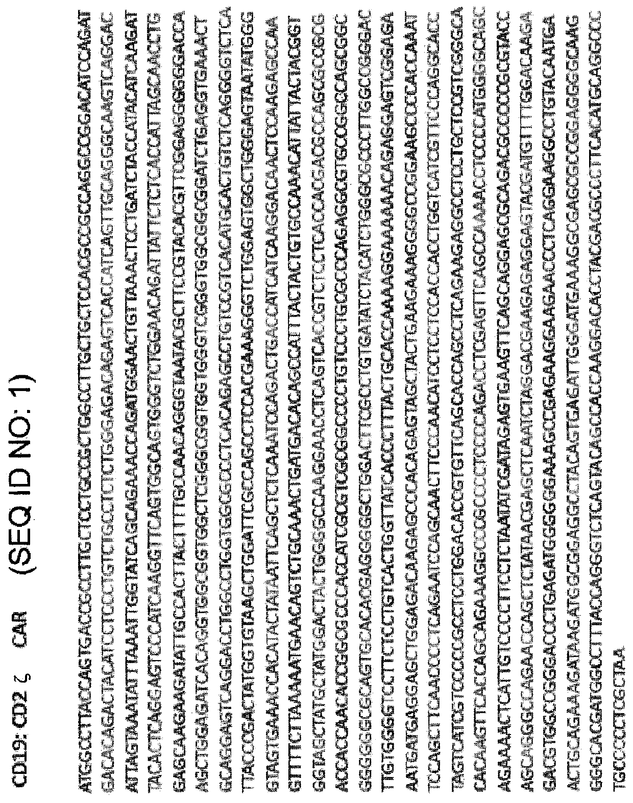 Use of the cd2 signaling domain in second-generation chimeric antigen receptors