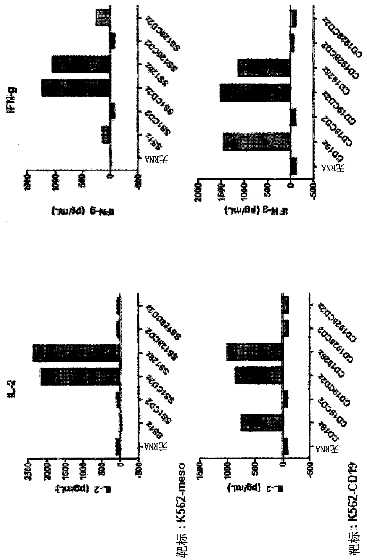 Use of the cd2 signaling domain in second-generation chimeric antigen receptors