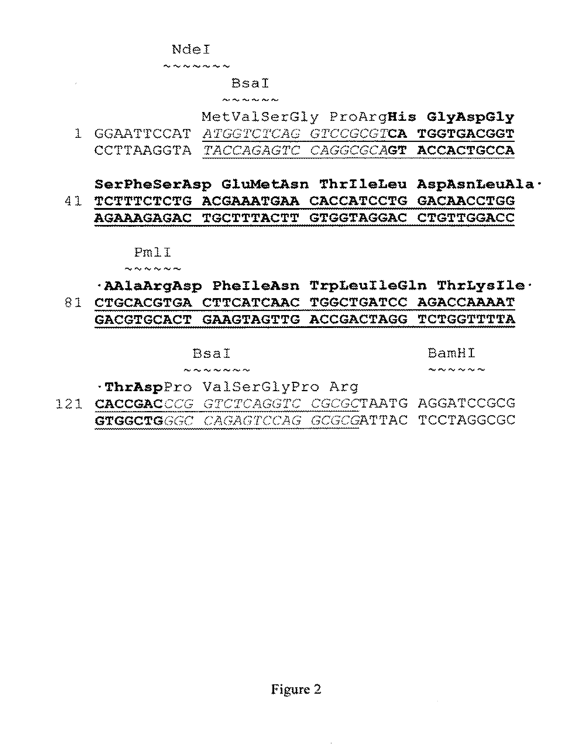 Production of glucagon-like peptide 2