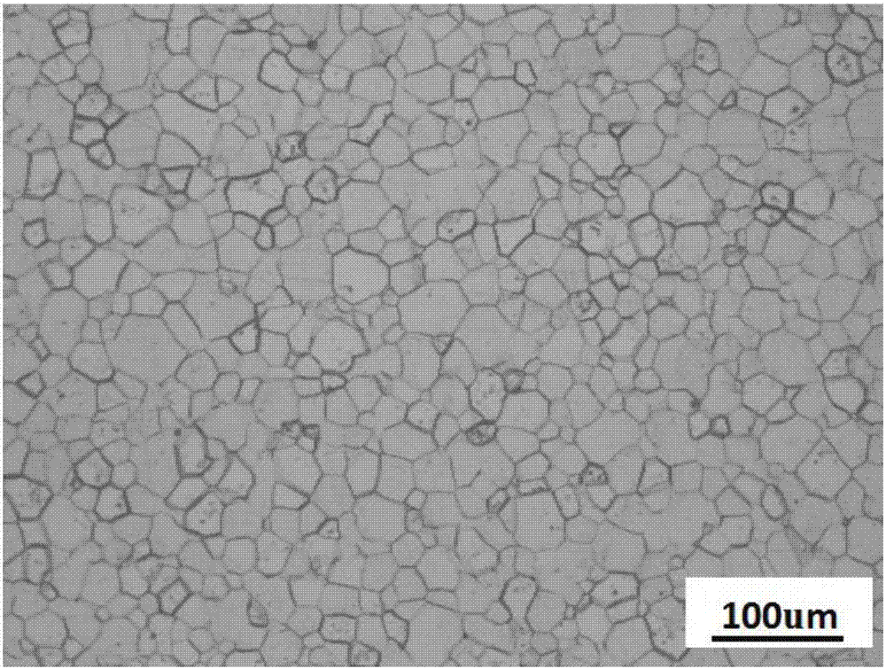 High-performance Mg-Y-Mn-Gd deformed magnesium alloy and preparation method thereof