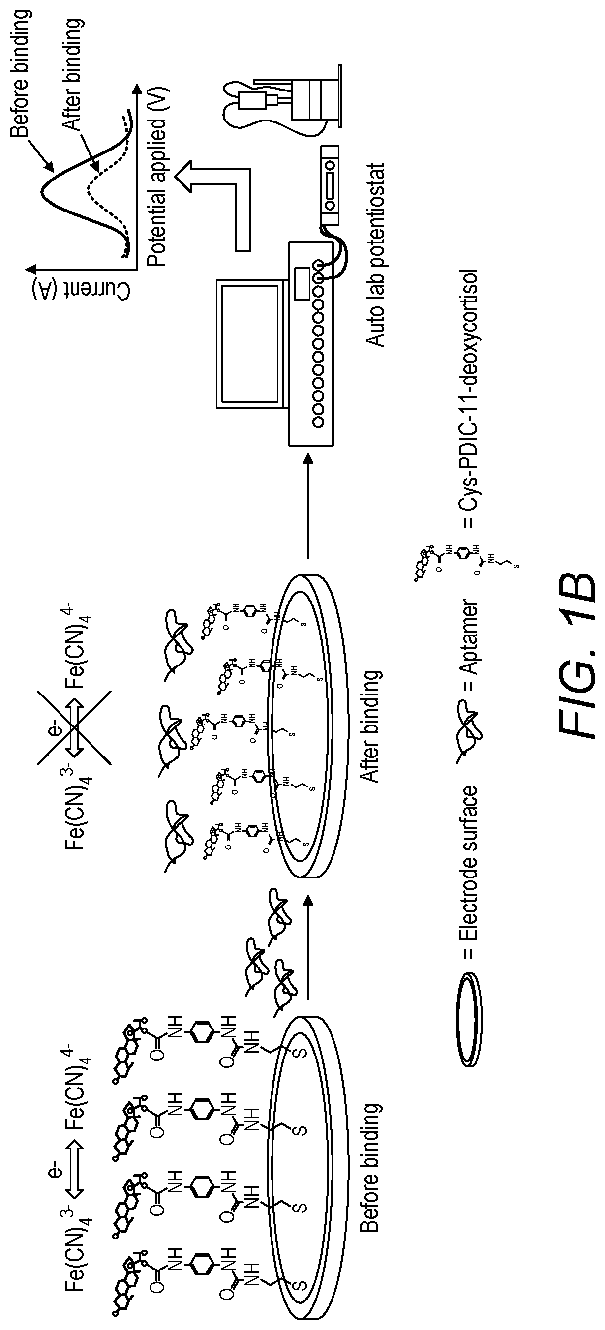 Electrochemical screening for the selection of DNA aptamers