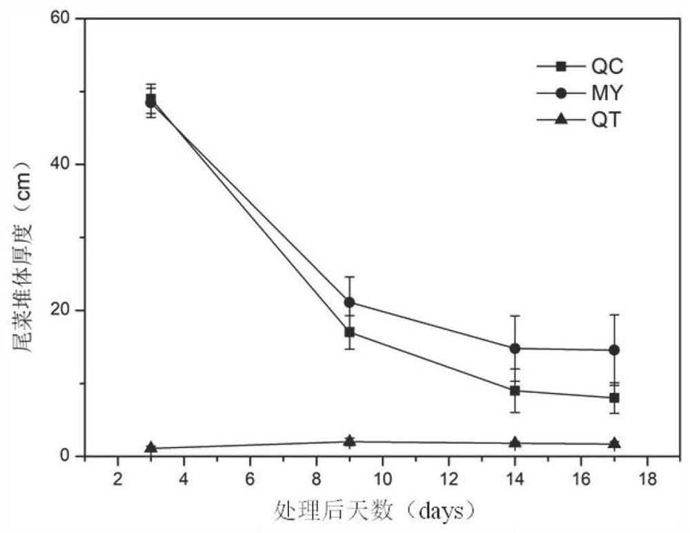 A method for burial pressure of cauliflower to suppress environmental pollution and promote vegetation restoration