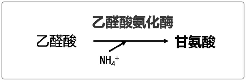 Production method of glycine