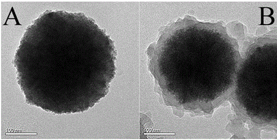 Magnetic covalent organic framework nanocomposite material and preparation method and application