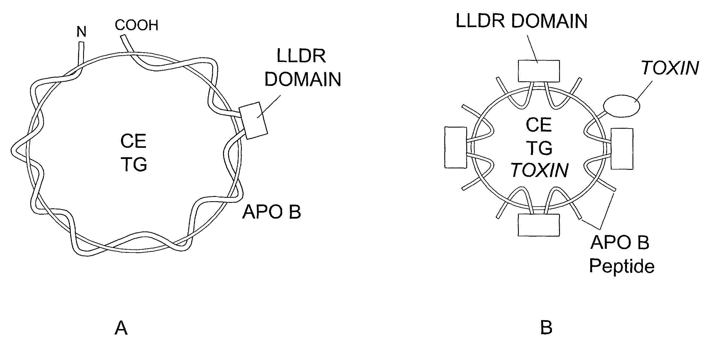 Synthetic LDL as targeted drug delivery vehicle