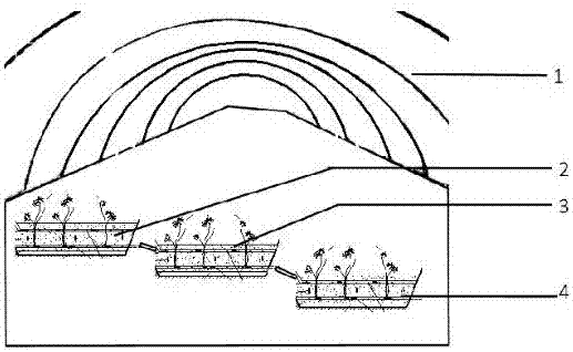 A construction method of constructed wetland industrialization