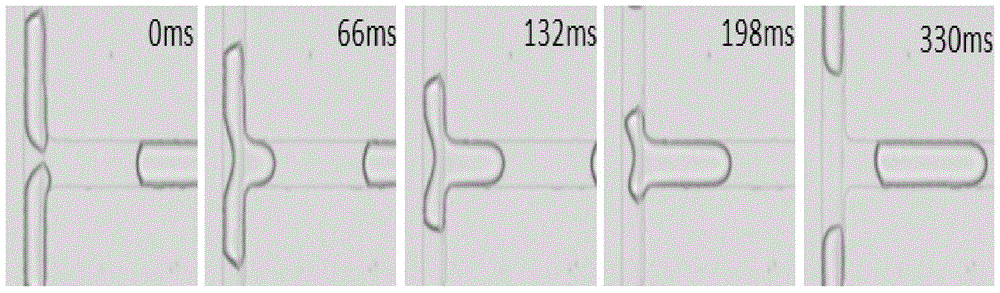 A Micro-droplet Fusion Method Based on Hydrophilic Filament Induction