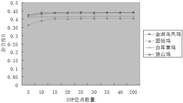 SNP mark screening method for monitoring breed conservation effect of poultry, application thereof to chicken breed conservation and authentication method of SNP mark