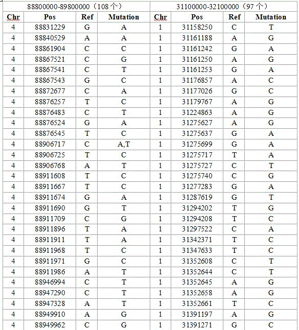 SNP mark screening method for monitoring breed conservation effect of poultry, application thereof to chicken breed conservation and authentication method of SNP mark