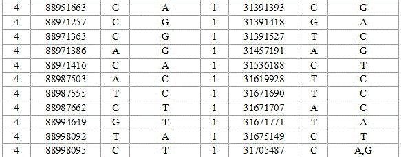 SNP mark screening method for monitoring breed conservation effect of poultry, application thereof to chicken breed conservation and authentication method of SNP mark