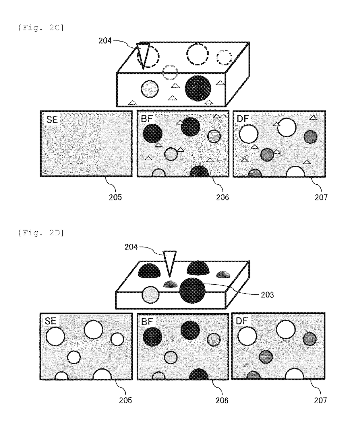 Charged particle beam device, electron microscope and sample observation method