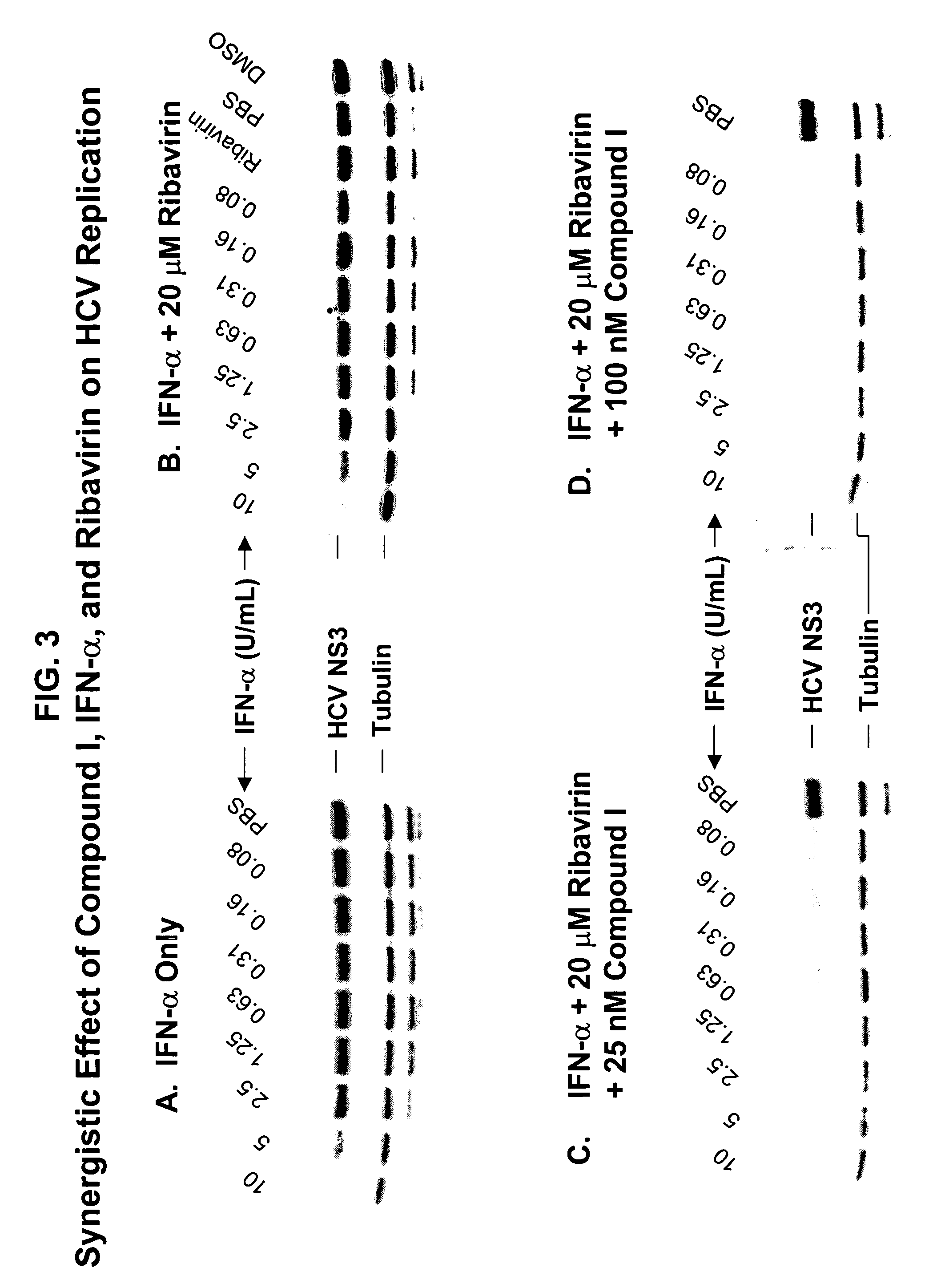 Synergistically effective combinations of dihaloacetamide compounds and interferon or ribavirin against HCV infections