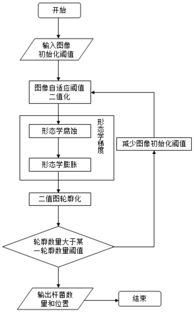 Recognition method of fluorescent sputum smear of Mycobacterium tuberculosis based on deep neural network