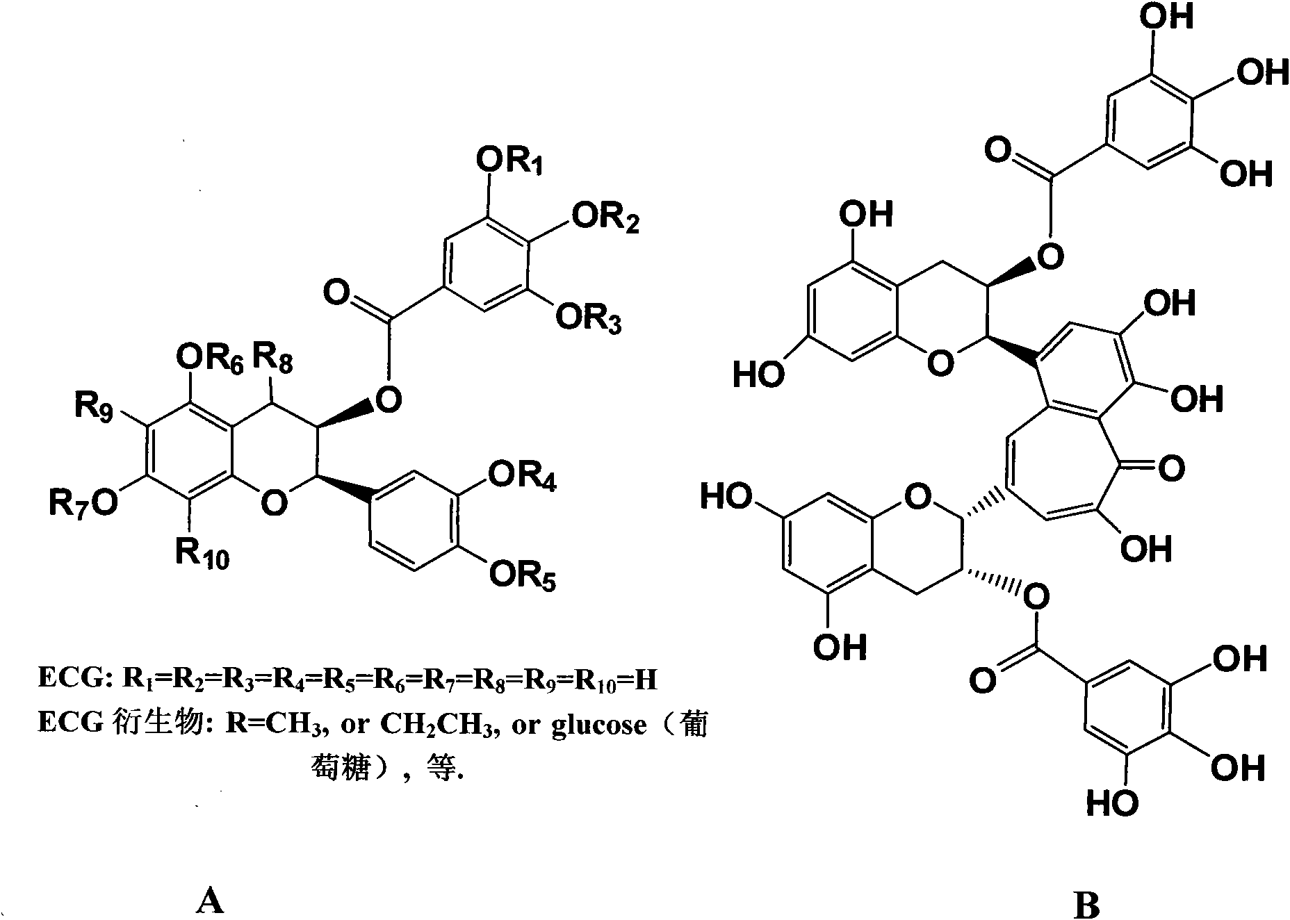 Application of epicatechin gallate and derivatives thereof for treating or preventing myocardial infarction and other ischemic heart diseases