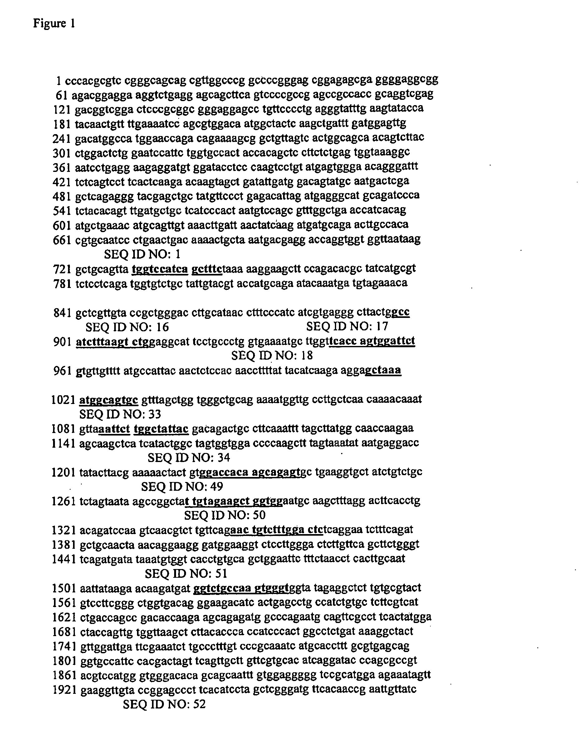 Compounds for the modulation of beta-catenin expression