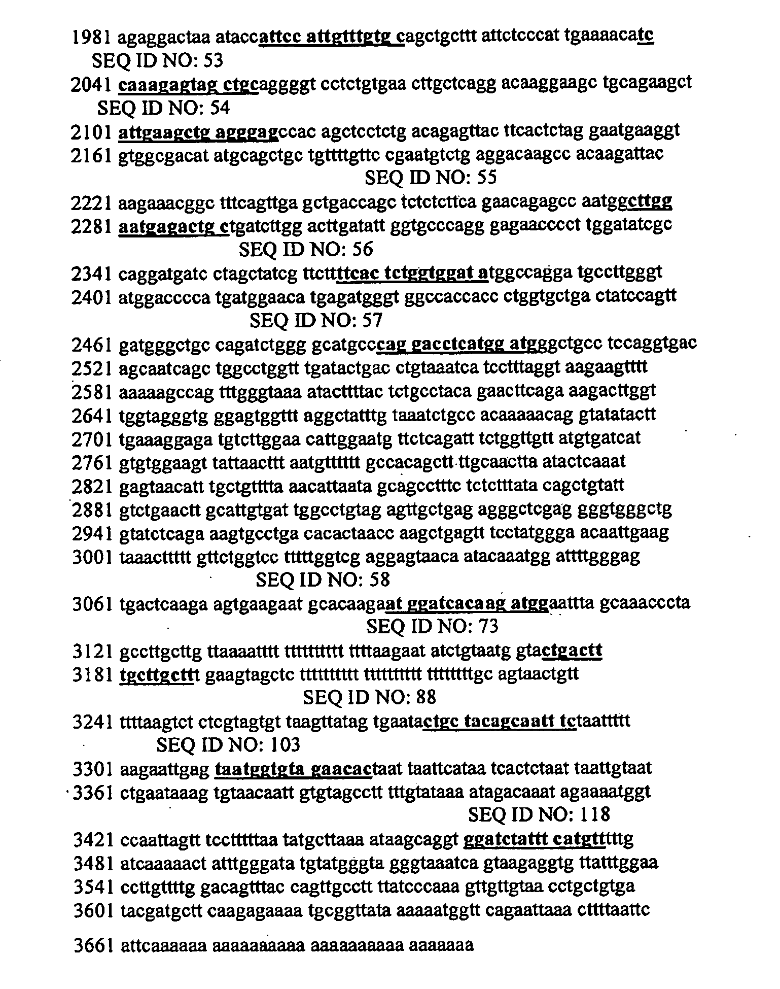 Compounds for the modulation of beta-catenin expression