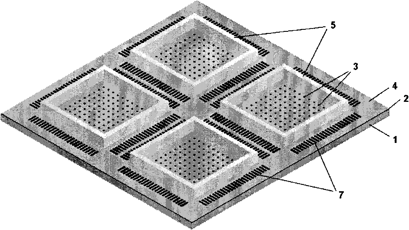 Method for detecting tumour cells by adopting microelectrode array impedance biosensor chip