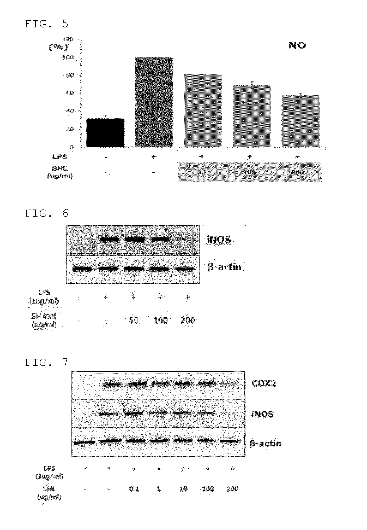 Medical composition containing <i>Stauntonia hexaphylla </i>extract