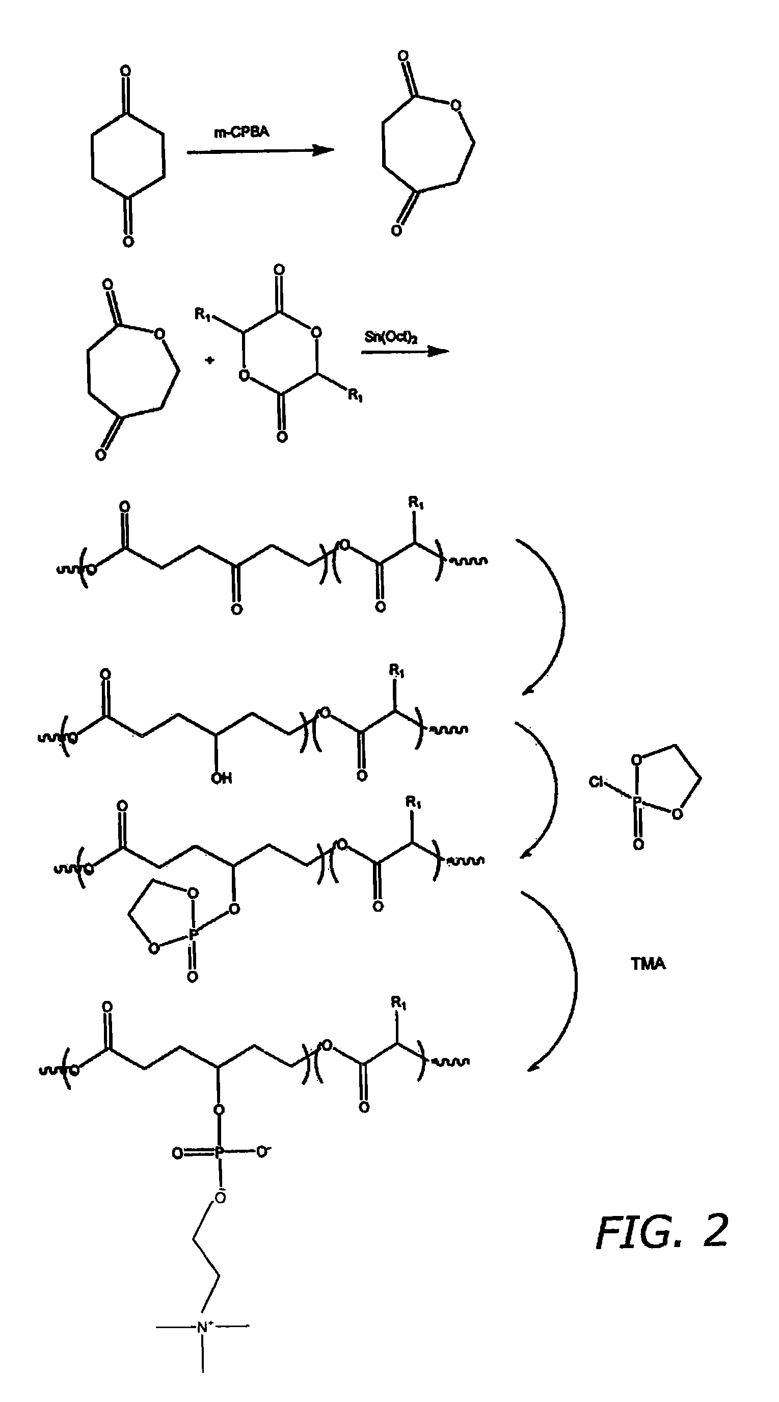 Medical devices and coatings therefore comprising biodegradable polymers with enhanced functionality