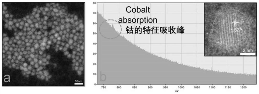 Monatomic metal catalyst as well as preparation method and application thereof