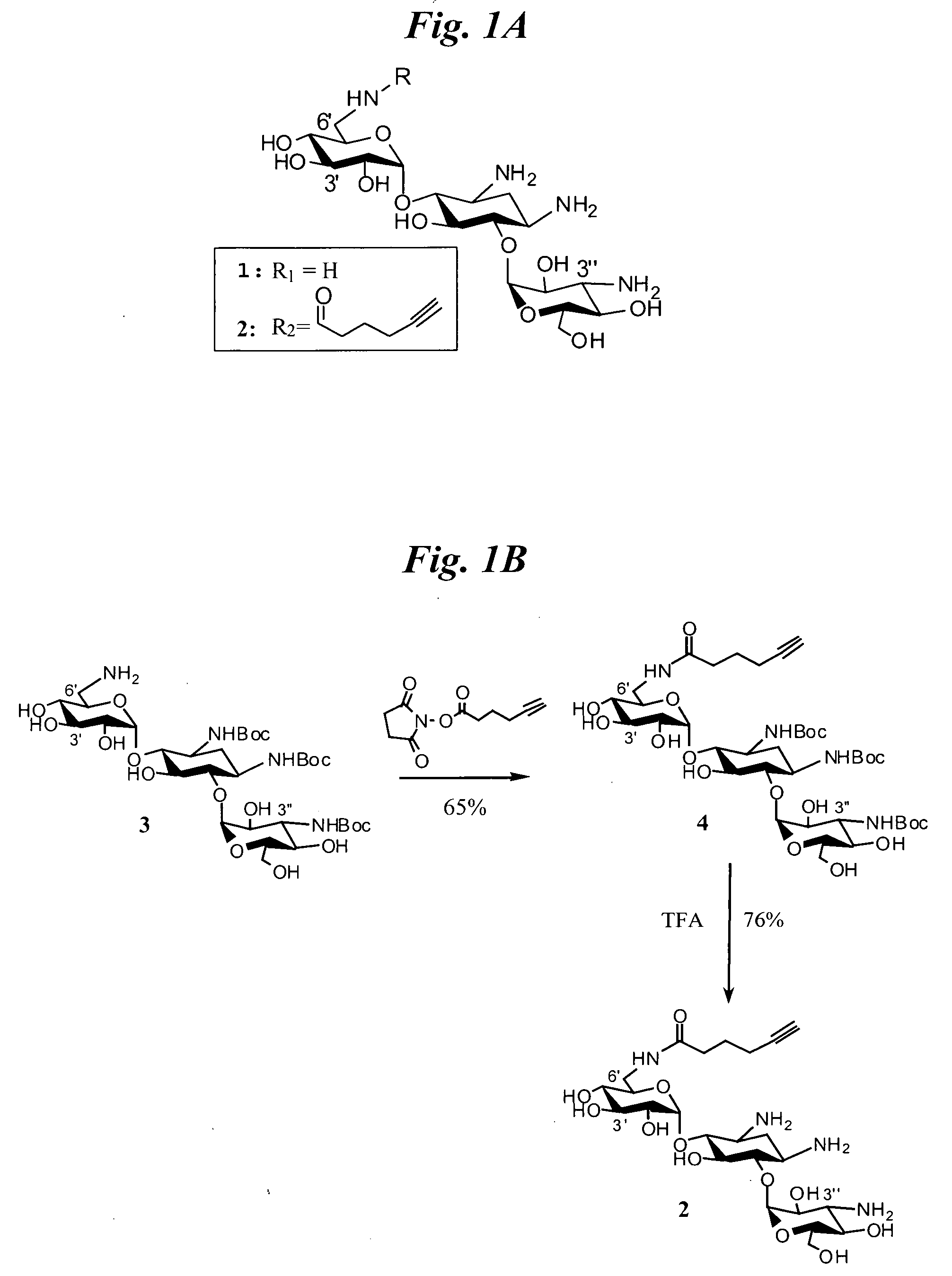 Methods for identifying ligands that target nucleic acid molecules and nucleic acid structural motifs