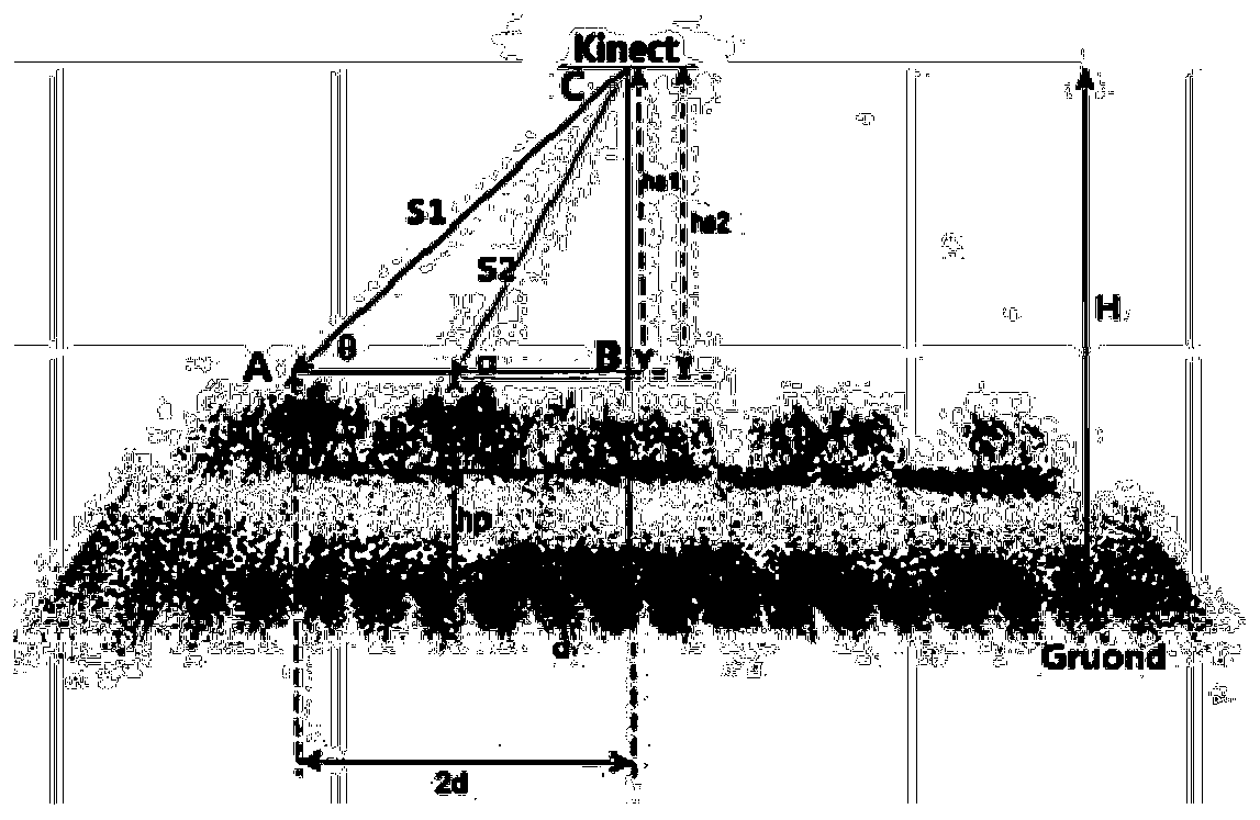 A high-throughput calculation method for crop plant height