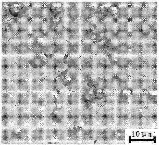 Method for preparing carbon nano tube reinforced epoxy resin self repairing microcapsule