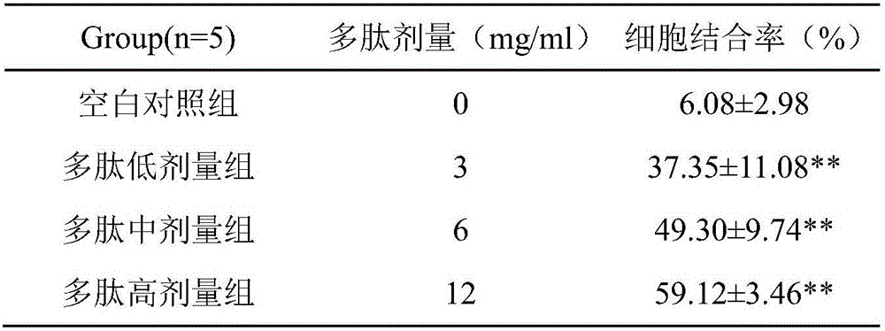 CD19 immunogen polypeptide and application thereof