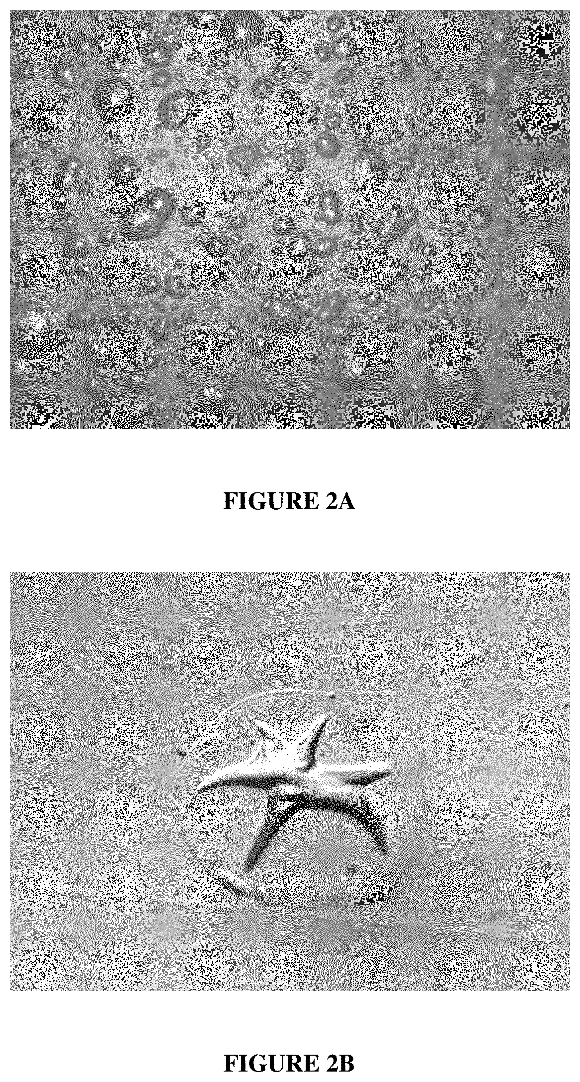 Electroless copper plating compositions and methods for electroless plating copper on substrates