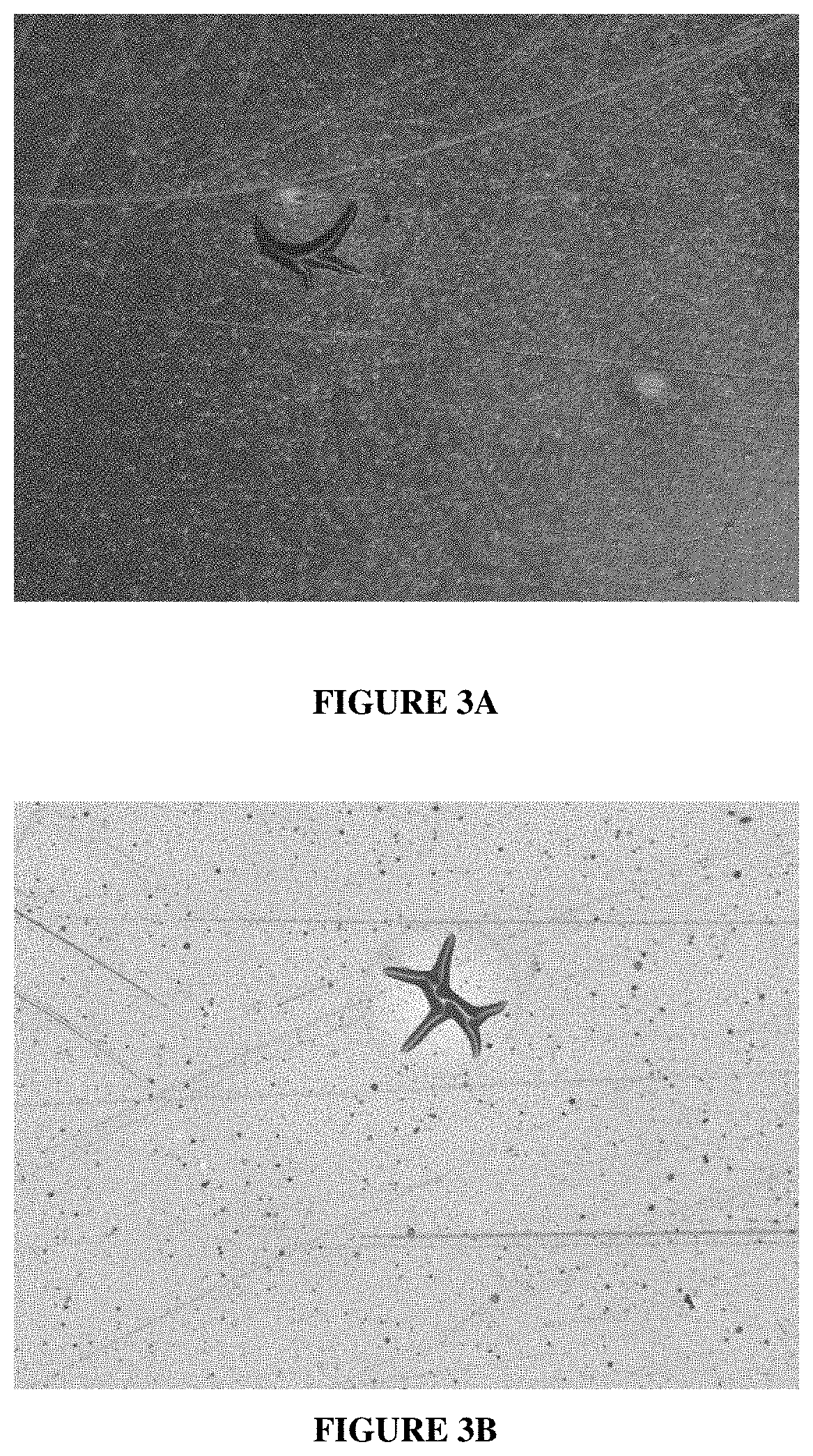 Electroless copper plating compositions and methods for electroless plating copper on substrates