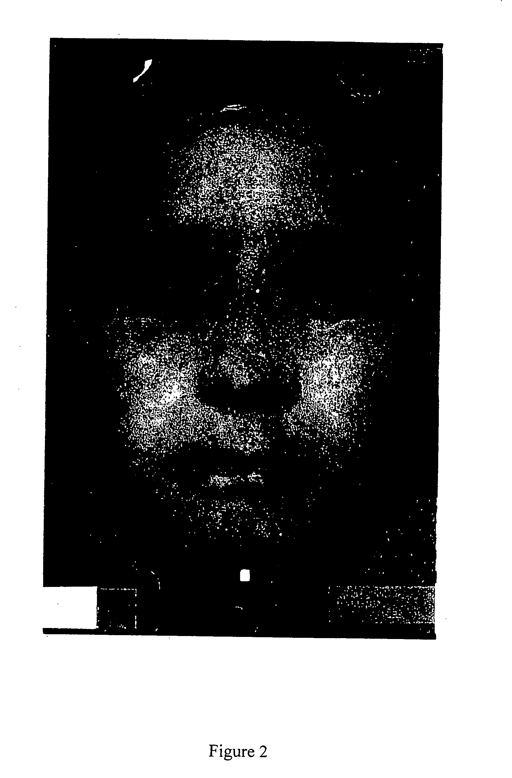 Delivery system for topical medications