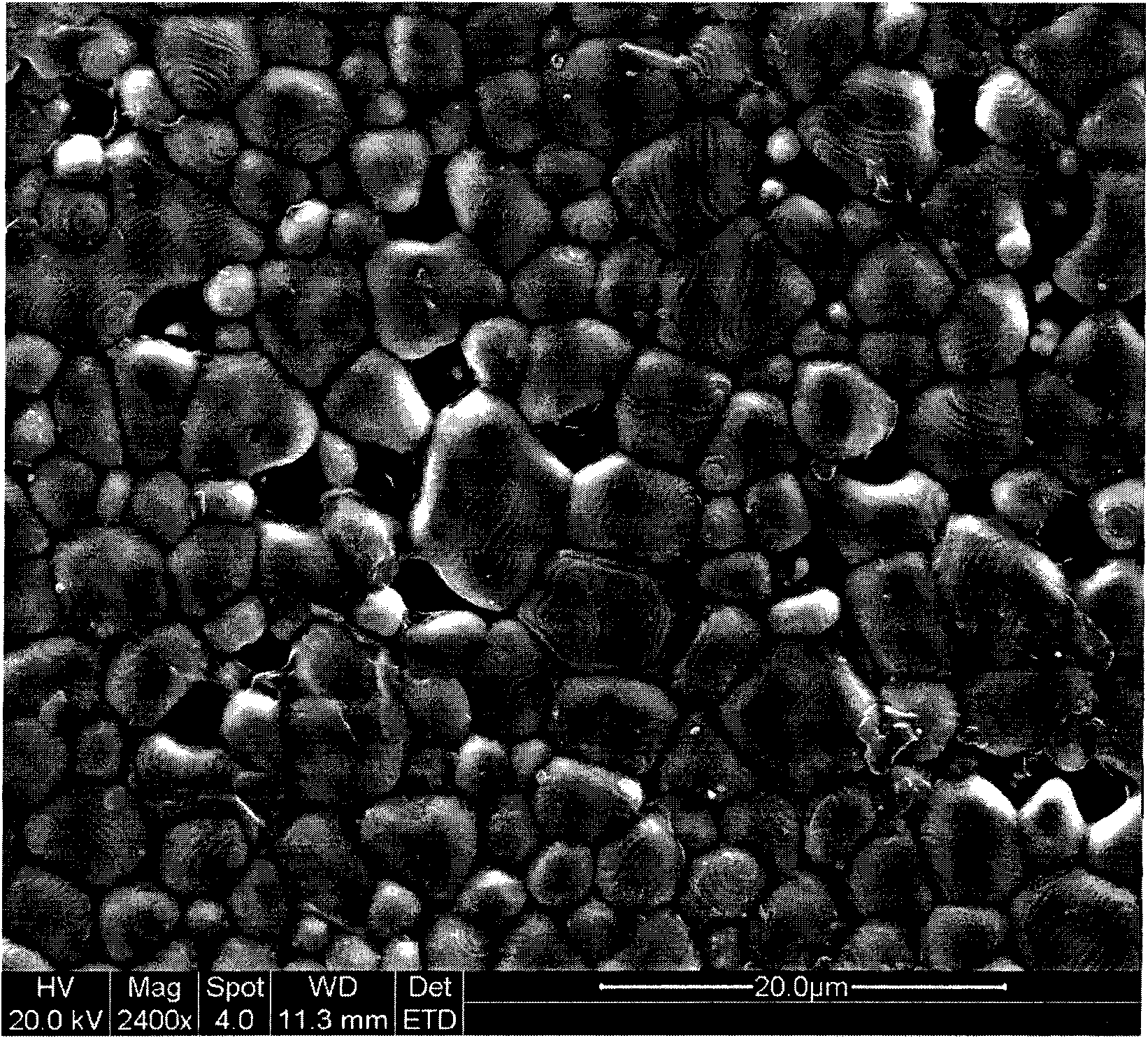 Preparation method of porous field pyroelectric ceramic material