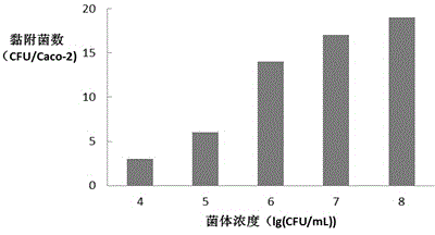 Lactobacillus plantarum L01 having cholesterol degrading function and application thereof