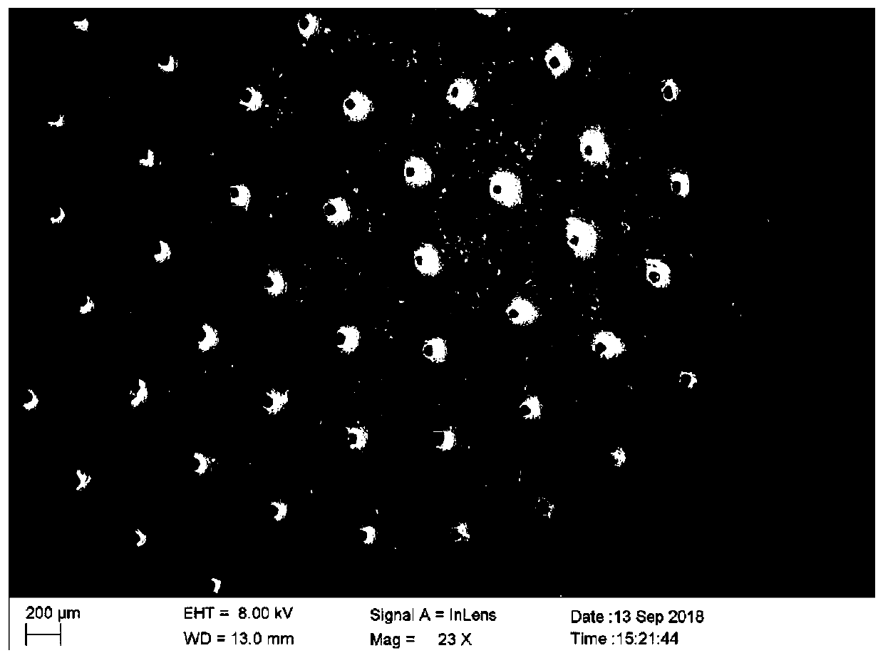 Adjustable protein-based flexible strain sensor and preparation method and application thereof