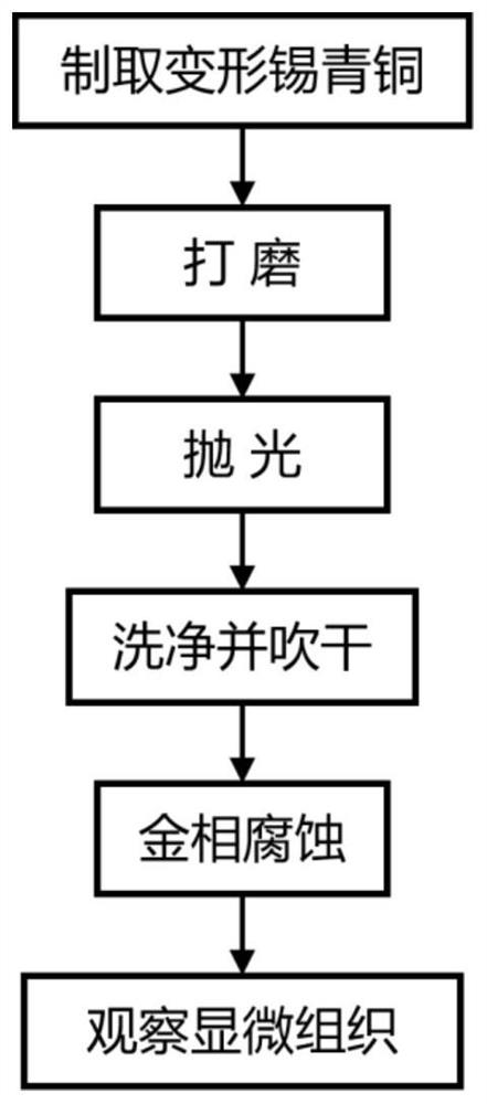 Metallographic corrosive for deformed tin bronze and crystal grain display method thereof