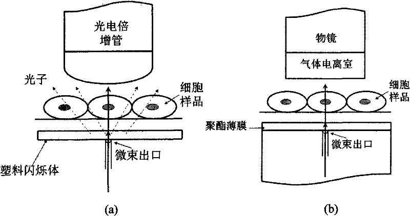 Novel ion detection system applied to single-ion microbeam device and based on spectroscope