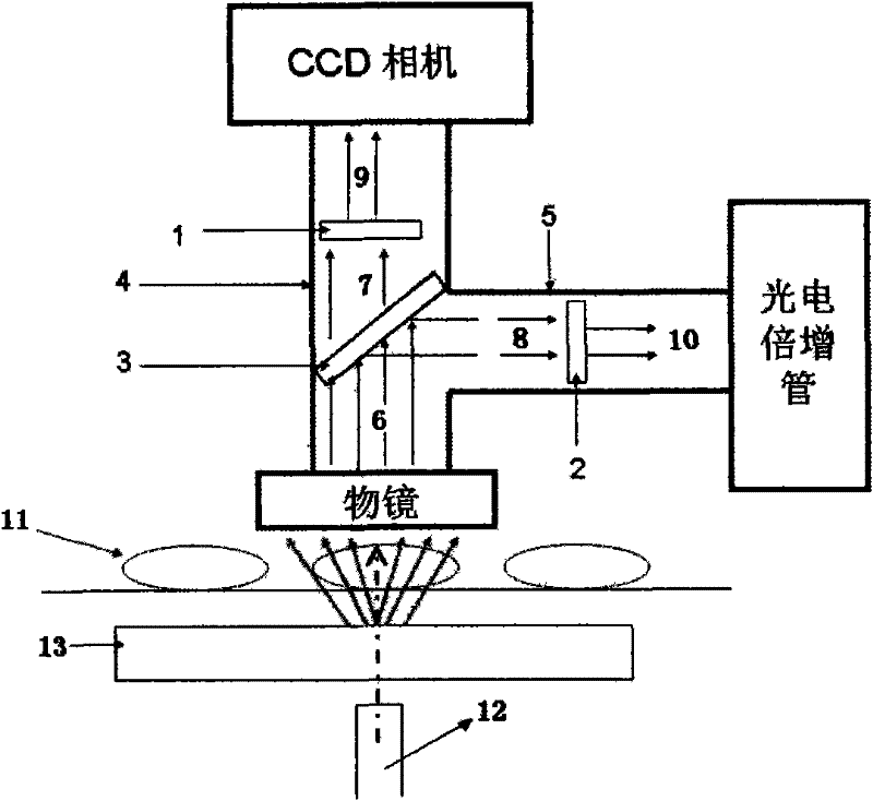 Novel ion detection system applied to single-ion microbeam device and based on spectroscope