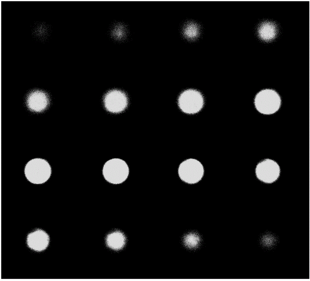 Functional nano particle composite microsphere, preparation and applications thereof