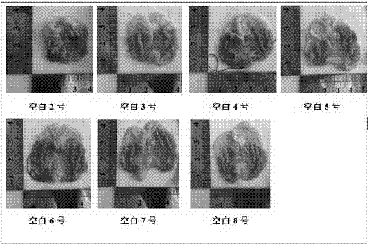 Herba cynomorii beverage and preparation method therefor