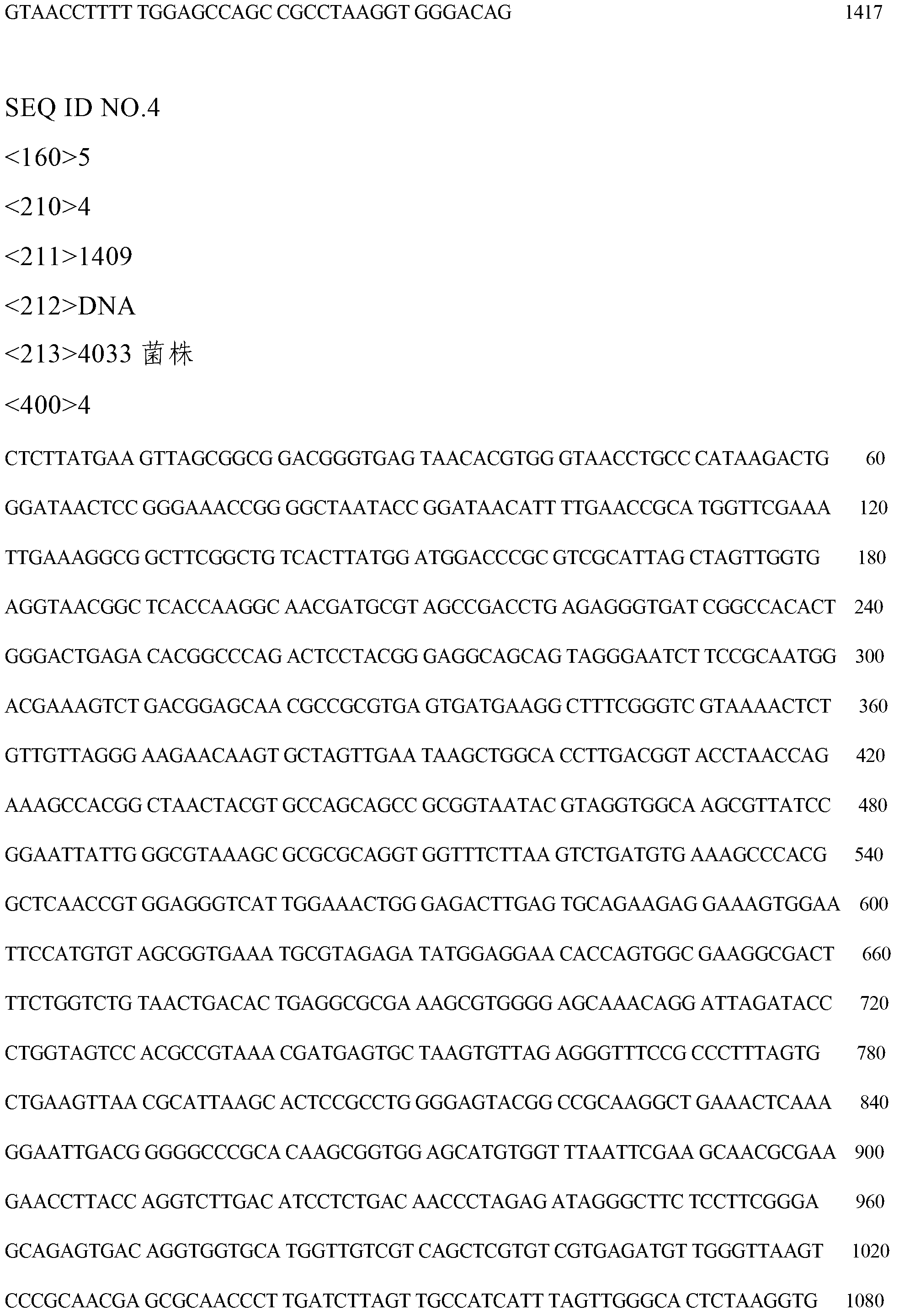 Solid microbial bacterium agent for petroleum degradation and preparation method thereof