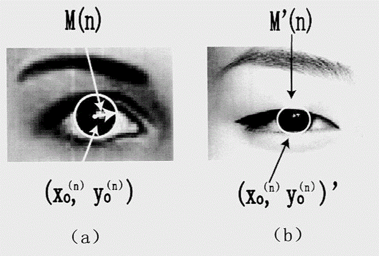 Composition of mobile phone face-scanning payment system