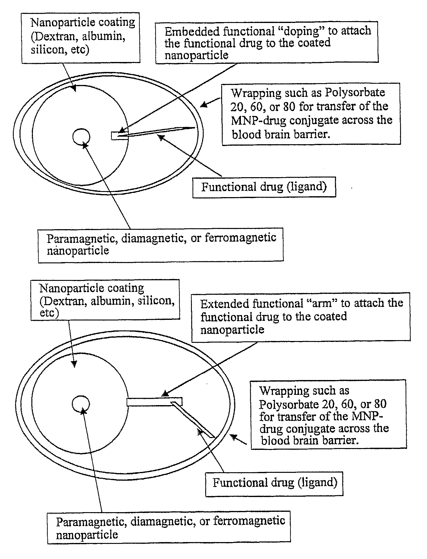 Functionalized Magnetic Nanoparticles and Methods of Use Thereof