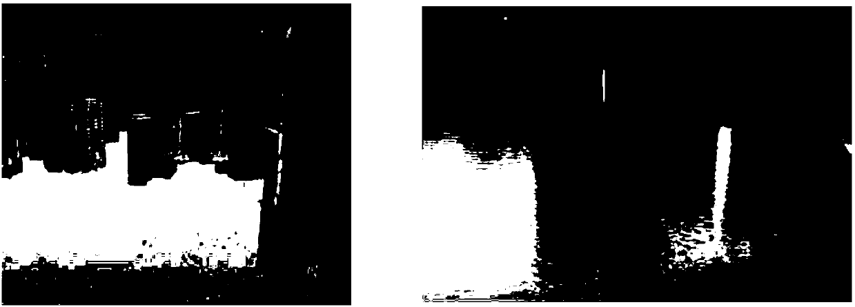 Mixed strain and strain carrier as well as method for continuously degrading volatile phenol pollutants in river black and odorous water body