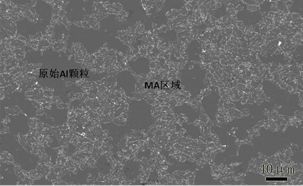 Method for manufacturing multi-scale structure aluminum/stannum-based bearing alloy