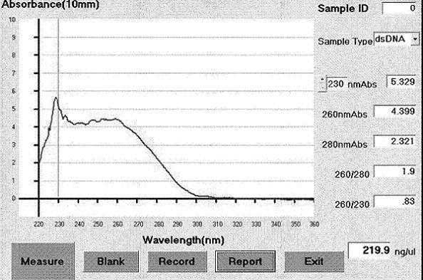 Method and kit for detecting mononucleotide polymorphic site rs 3820189 of high blood pressure susceptibility gene Mfn2