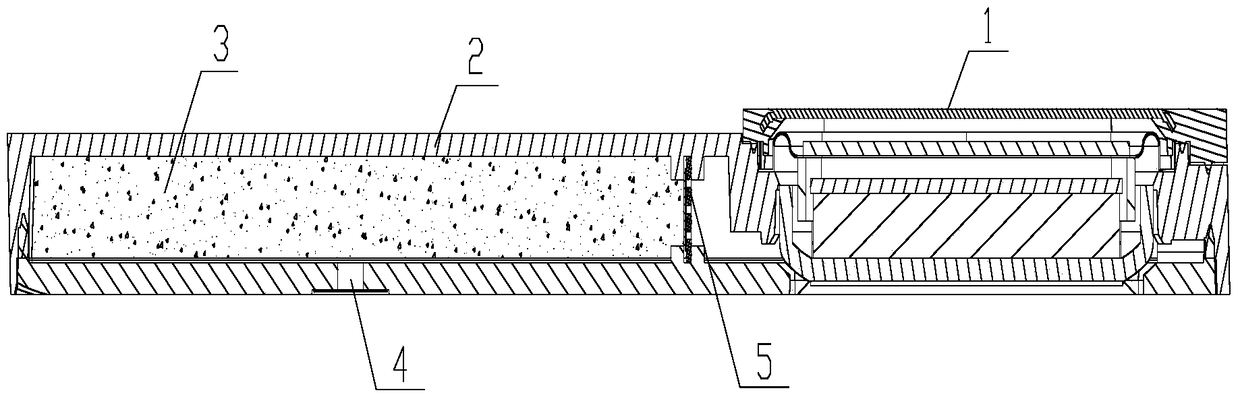 speaker module