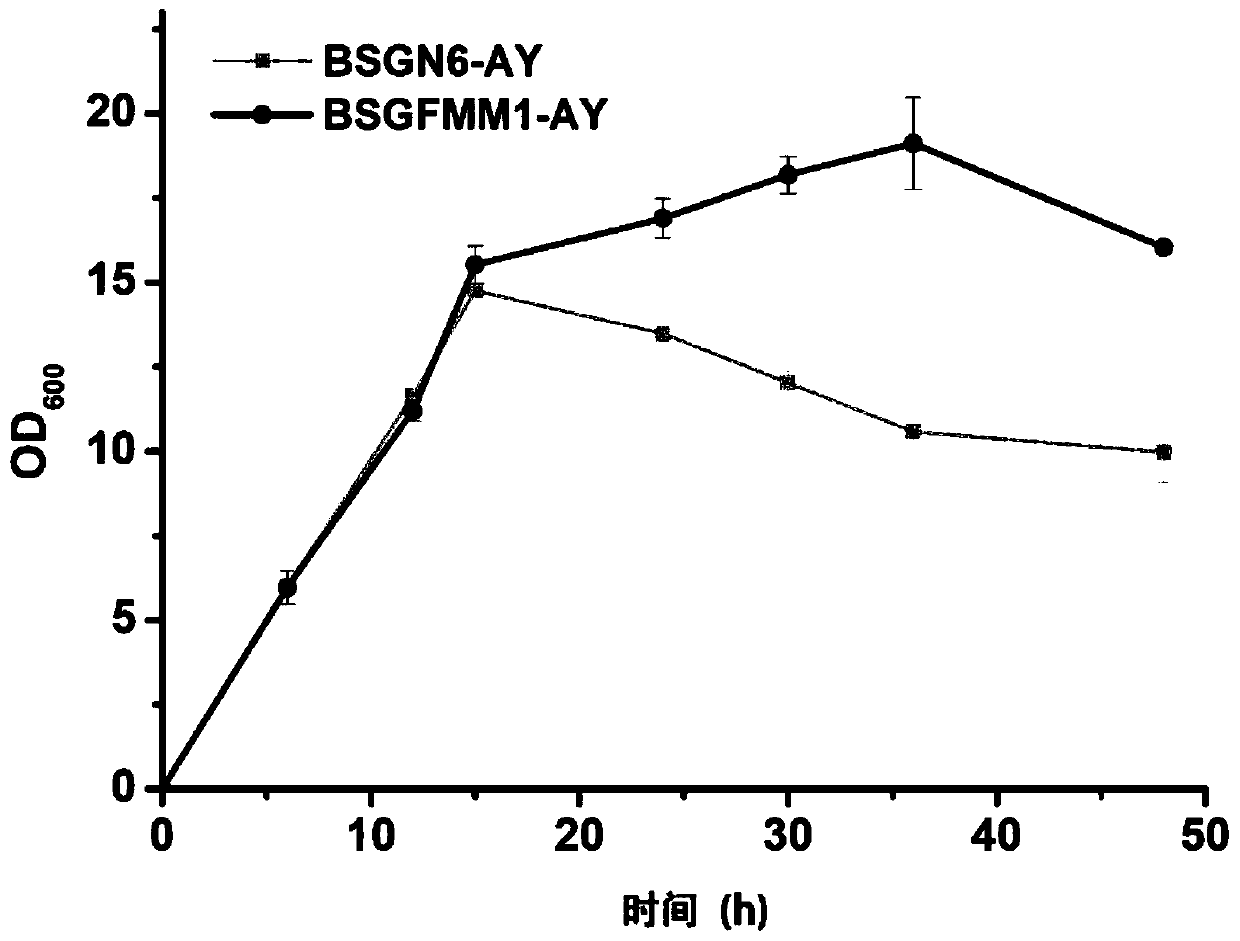 Method for transforming bacillus subtilis FMMs and application thereof