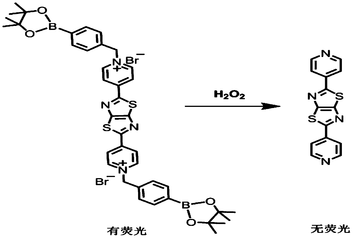 Fluorescent probe having hydrogen peroxide detection function and preparation method and application thereof